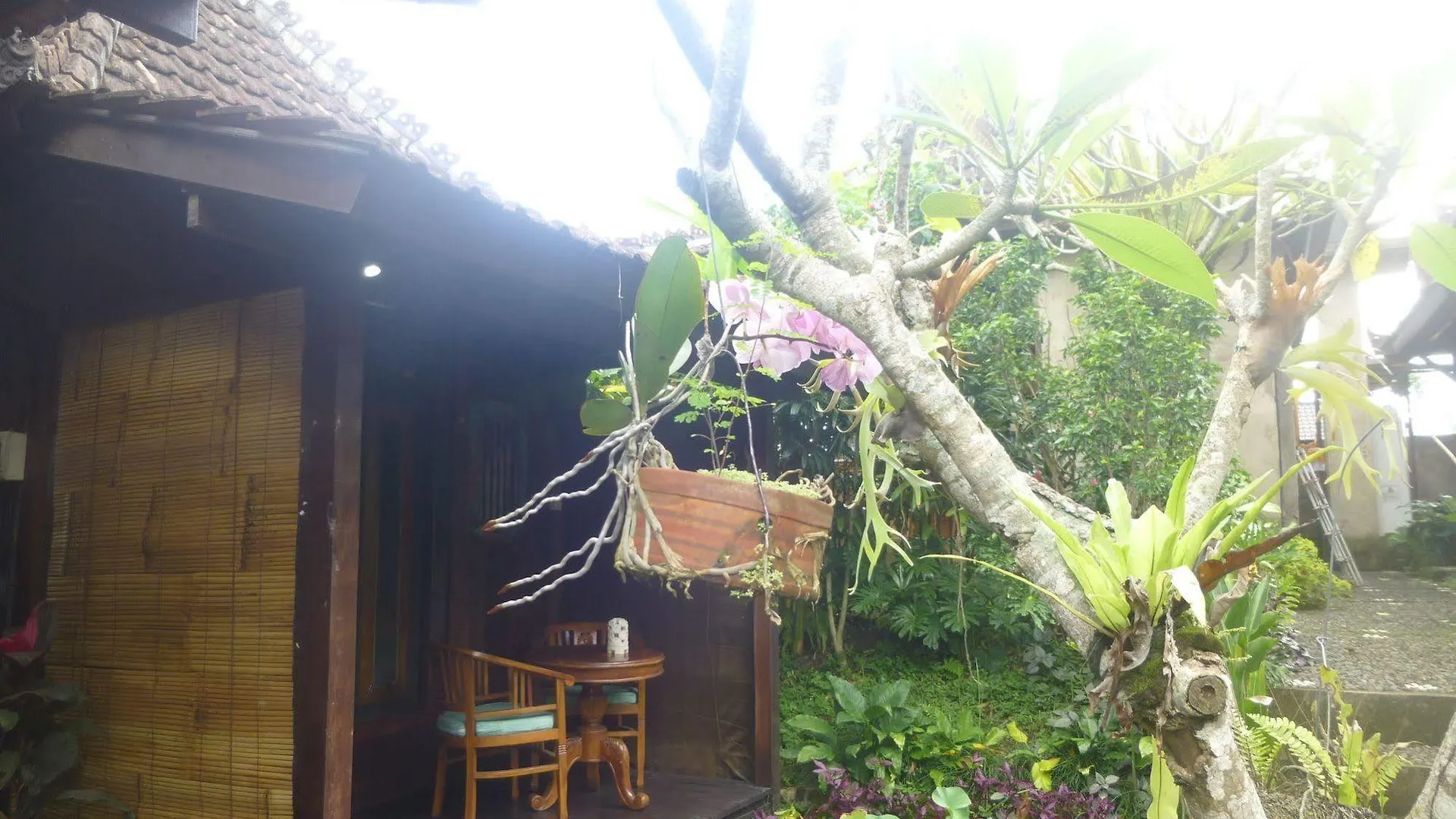 Joglo Taman Sari Hotel Ubud  Ubud (Bali)